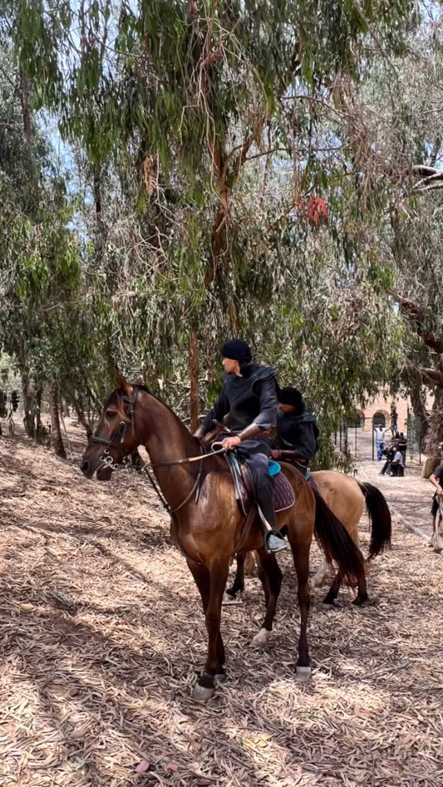 Balade en foret